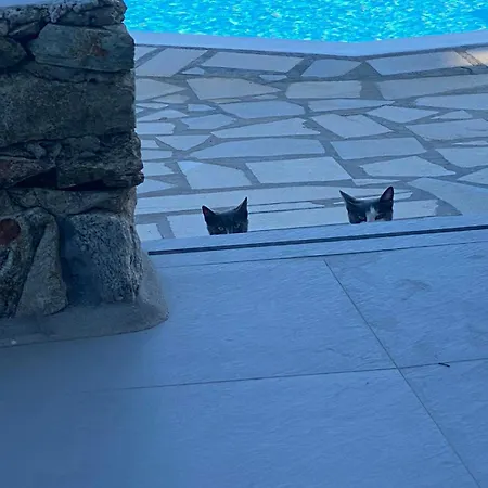 Cavo Blue וילה Elia (Mykonos)