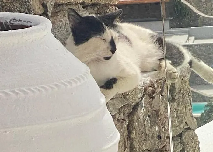 ヴィラ Cavo Blue *