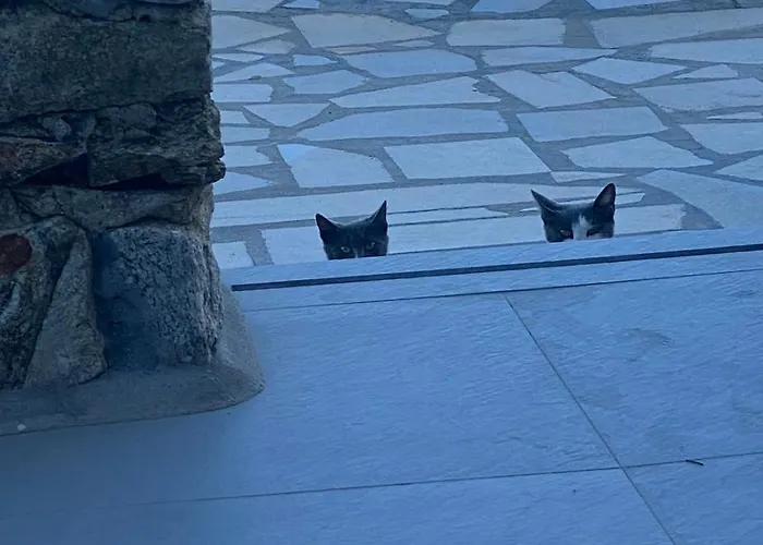 Cavo Blue ヴィラ Elia (Mykonos)